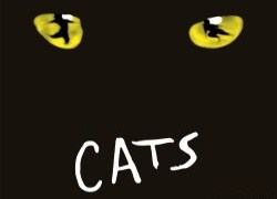 Neue Katzen für CATS - cats logo